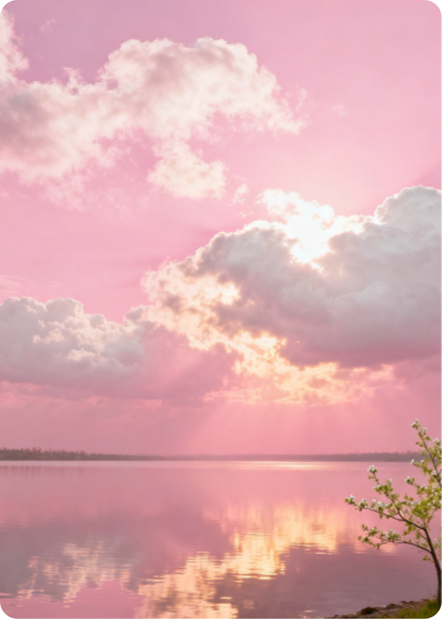 粉色天空下的秘密