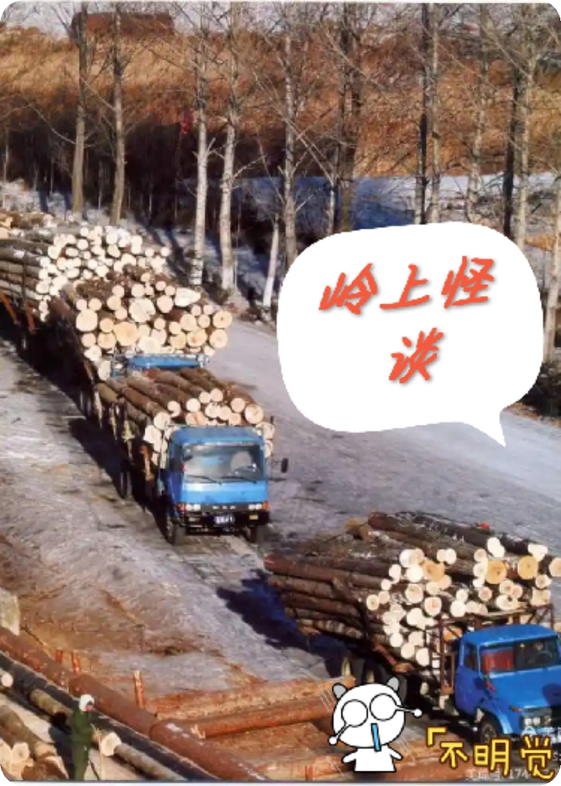 岭上怪谈