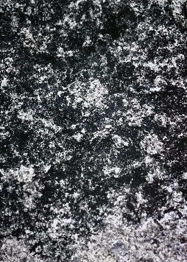 废墟之上的浮沙