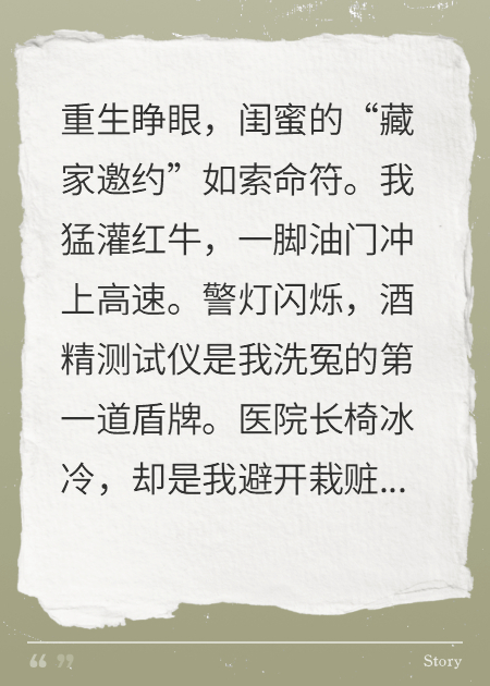 重生之我靠醉驾躲黑锅