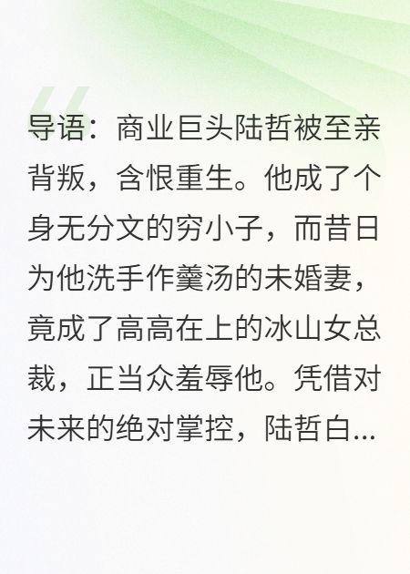 重生之我的霸总前妻求我别破产