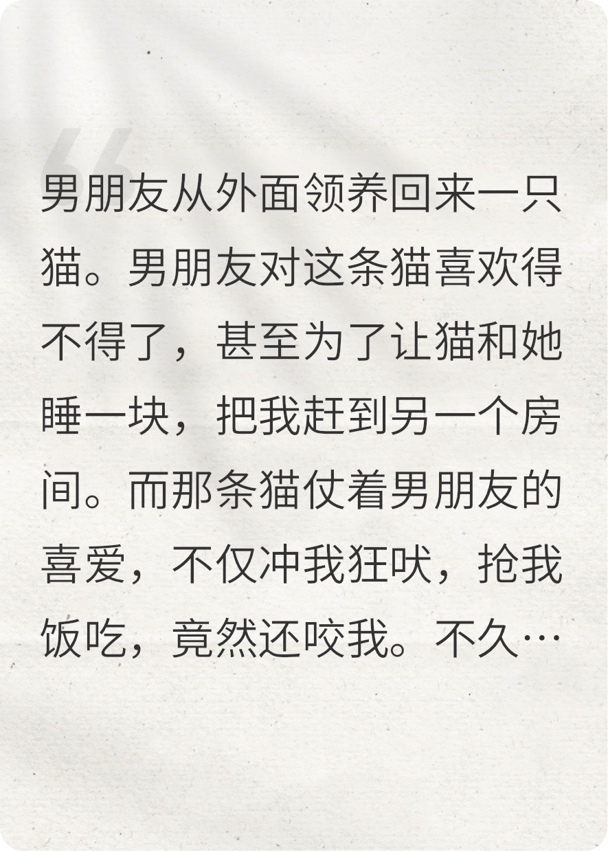 给家里的猫做绝育后，男朋友疯了