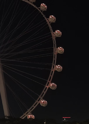 夏夜栀子
