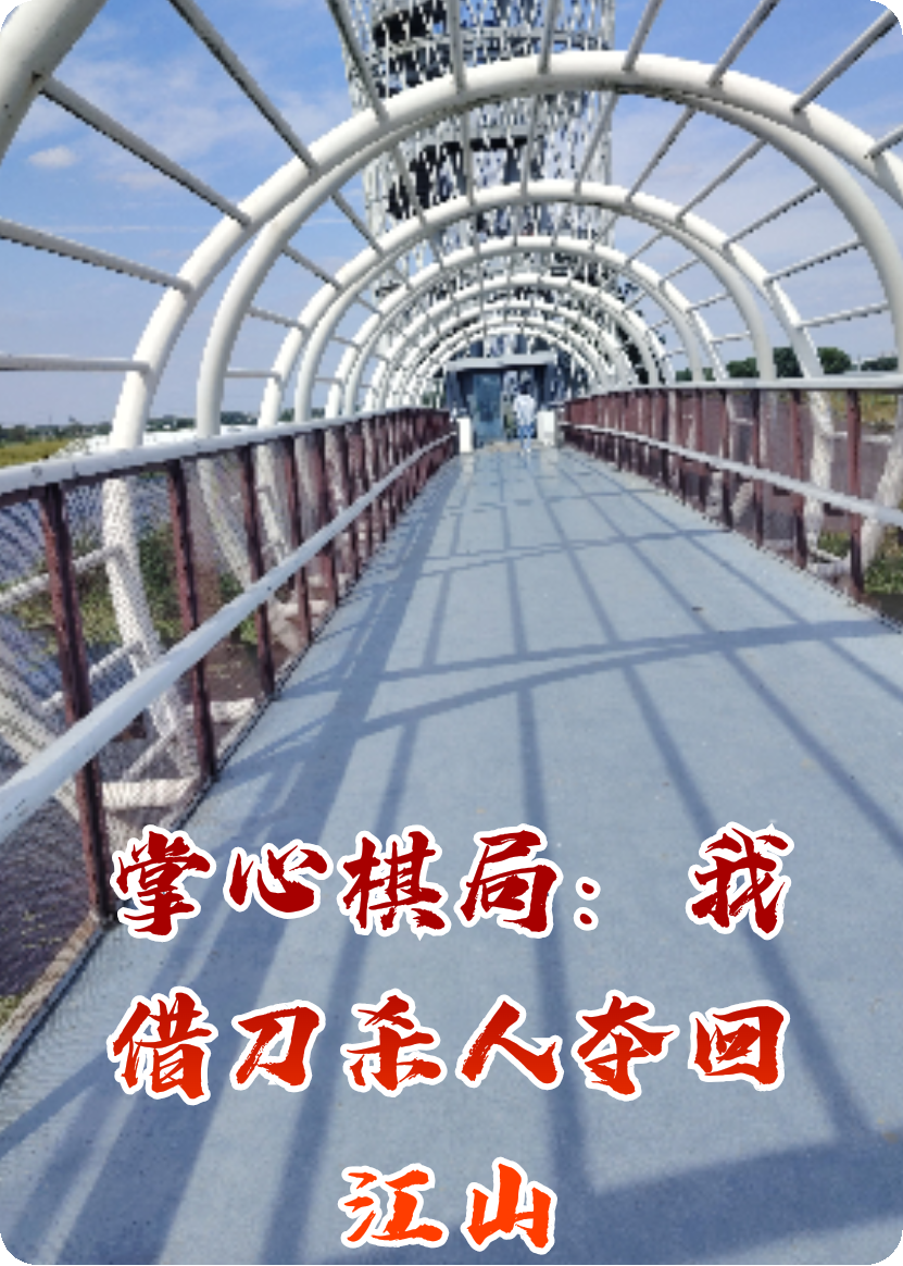掌心棋局：我借刀杀人夺回江山