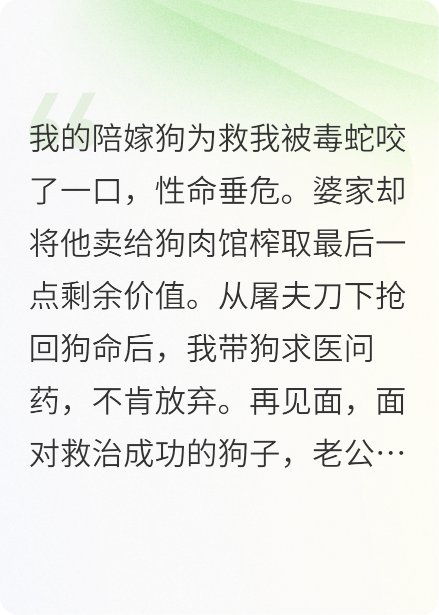 拒绝救治我的陪嫁狗，渣男他被打脸下跪磕头认错后悔了