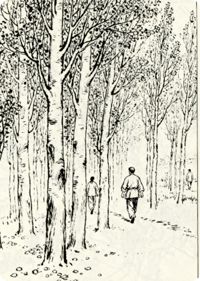 青杨林纪事：彩羽与墨线