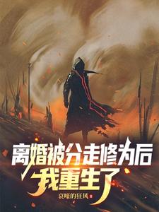 离婚被分走修为后，我重生了