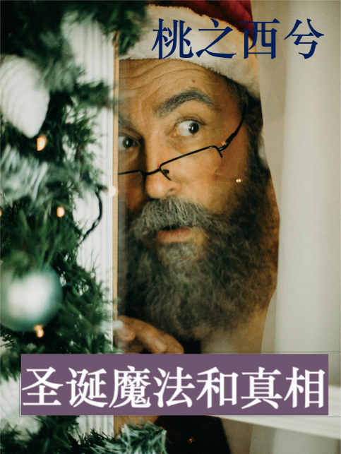 圣诞魔法和真相