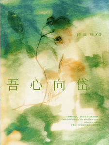 吾心向岱