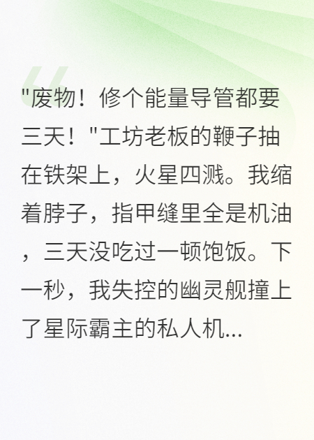 星际总裁爱上机甲维修工