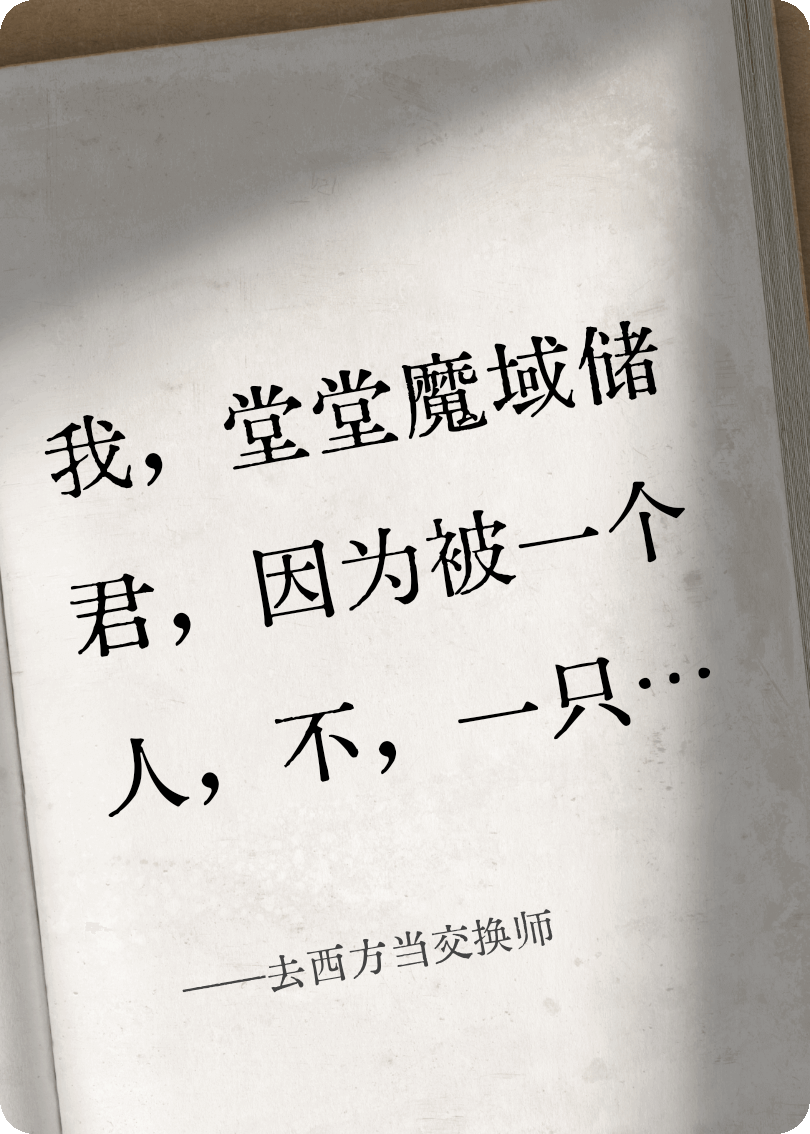 去西方当交换师