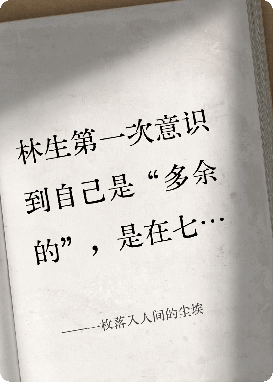 一枚落入人间的尘埃