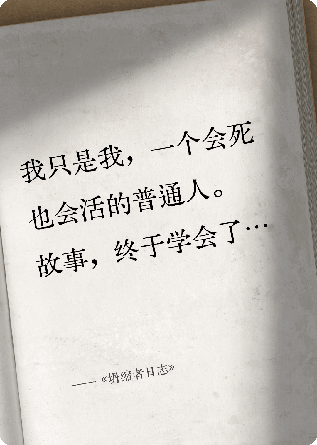 《坍缩者日志》