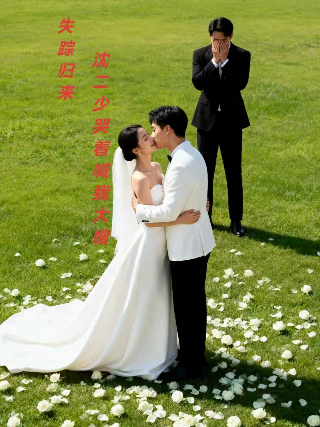 失踪归来,沈二少哭着喊我大嫂