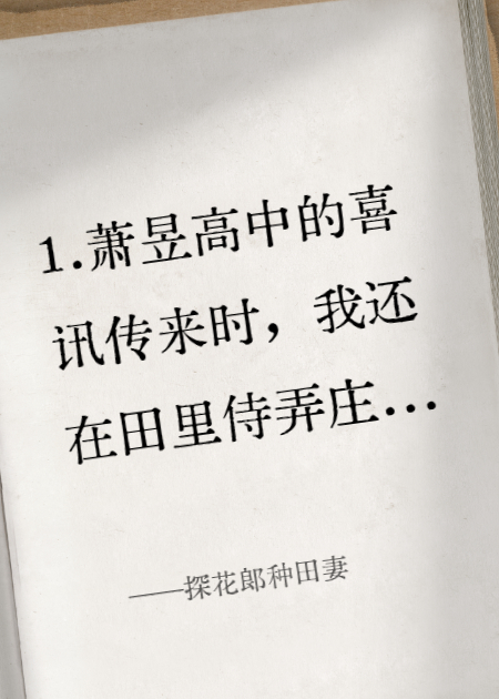 探花郎种田妻