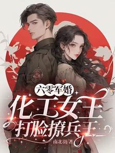 六零军婚，化工女王打脸撩兵王
