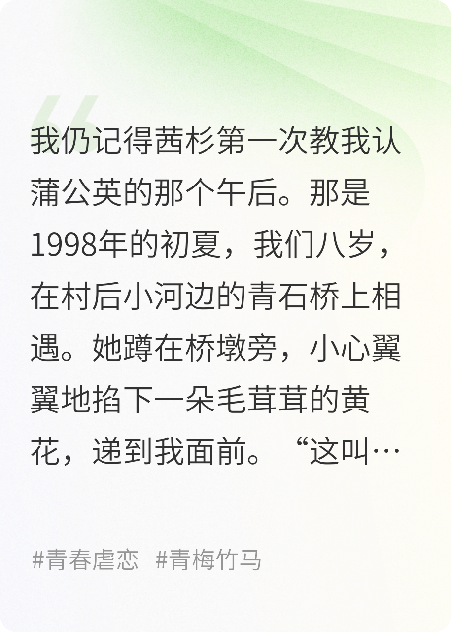 青石桥上的蒲公英仍在