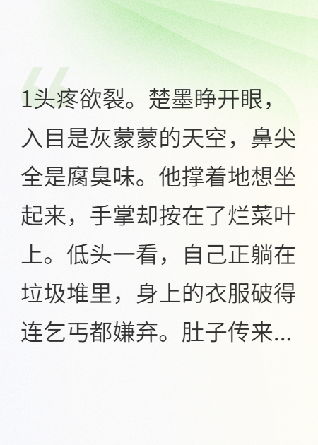 穿越成乞丐，我让汉子茶负债百万
