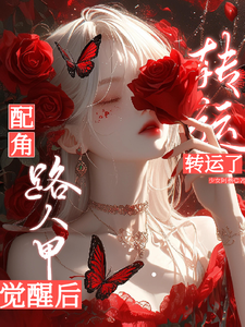 综影视：路人甲觉醒后配角转运了