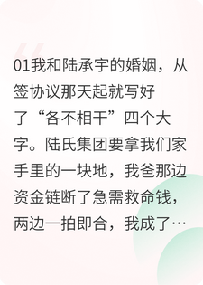嫁给冷面总裁后，我的吐槽成了全家暗号
