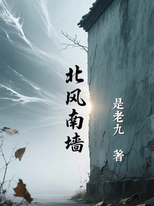 北风南墙