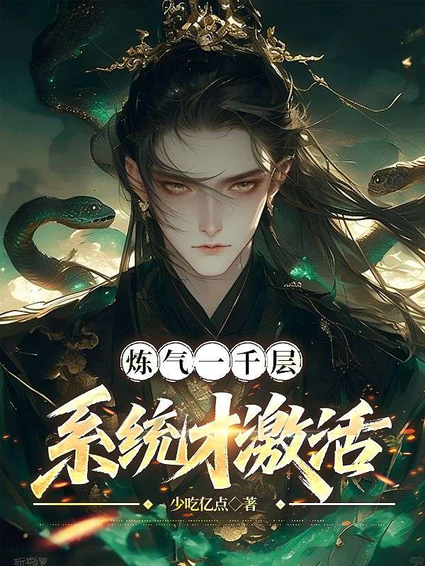 炼气一千层，系统才激活