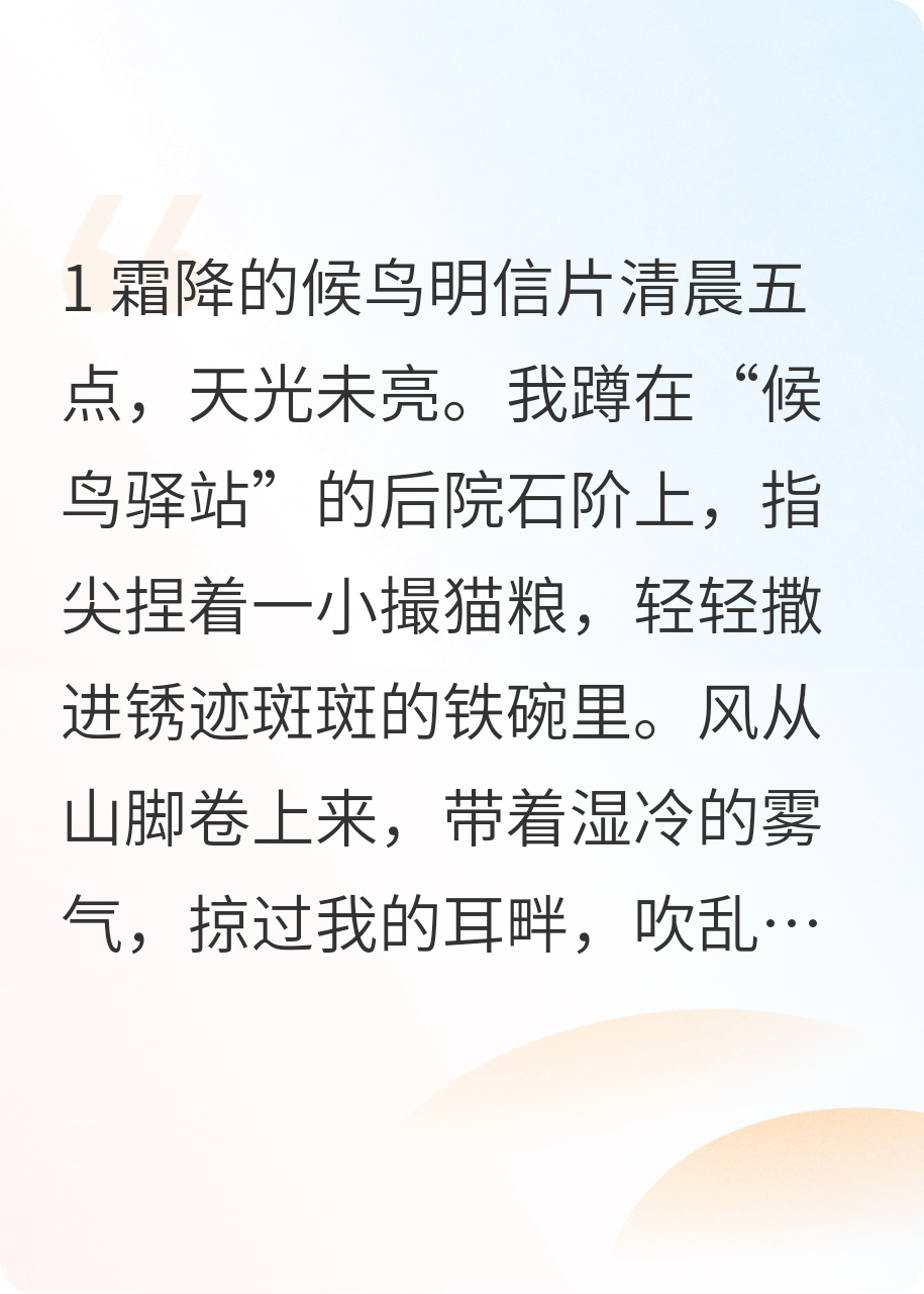 明信片里的候鸟不说慌