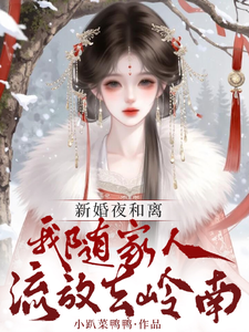 新婚夜和离，我随家人流放去岭南