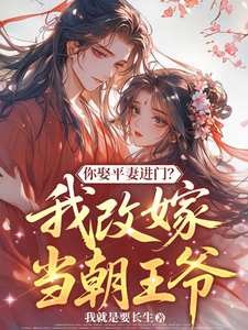你娶平妻进门？我改嫁当朝王爷