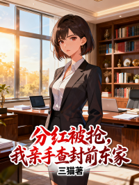 分红被抢，我亲手查封前东家