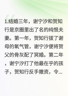 流萤共赏灯船影