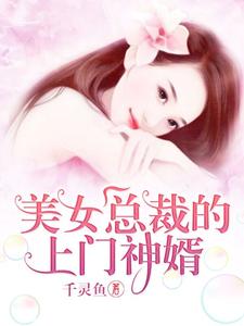 美女总裁的上门神婿