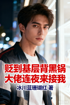 贬到基层背黑锅，大佬连夜来接我