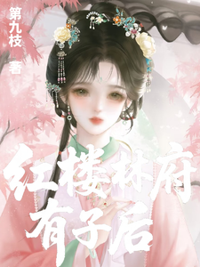 红楼：林府有子后