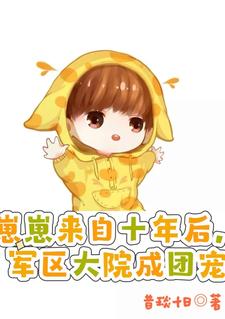 崽崽来自十年后，军区大院成团宠