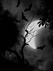 源能破晓：末世守护者