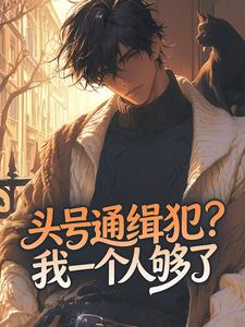 头号通缉犯？我一个人够了