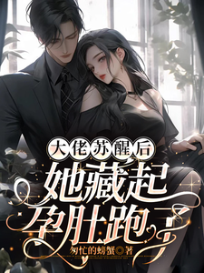 大佬苏醒后，她藏起孕肚跑了