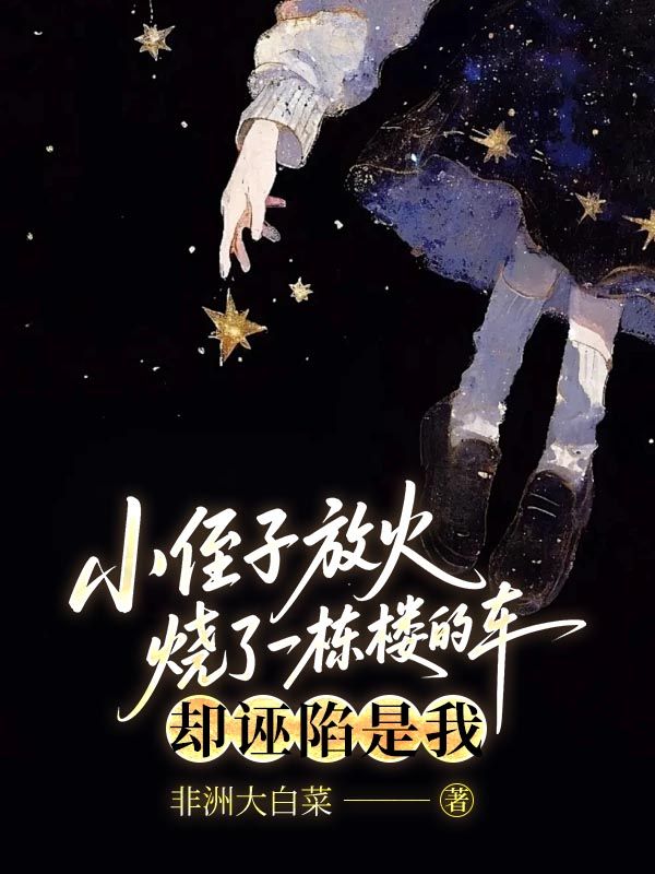 小侄子放火烧了一栋楼的车，却诬陷是我