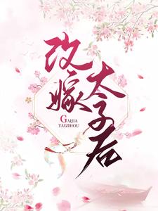 改嫁太子后