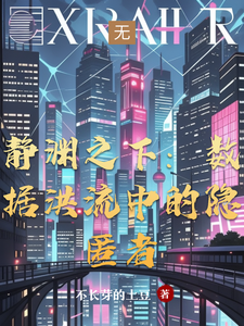 静渊之下：数据洪流中的隐匿者