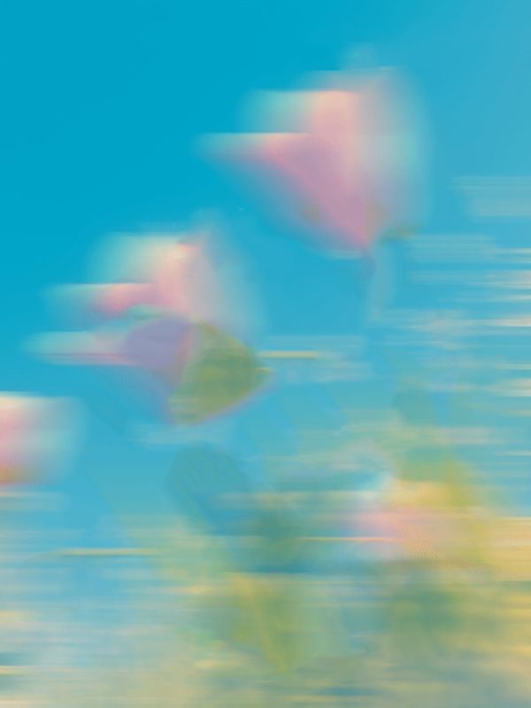 被逼记忆读取后，未婚夫悔疯了