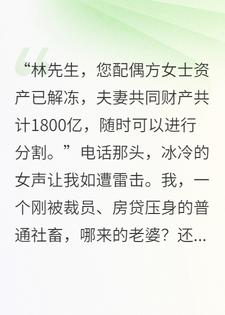 我成了亿万女总裁的隐婚老公