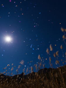 星星应与月亮同在