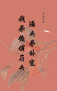 渣夫养外室我养俊俏马夫