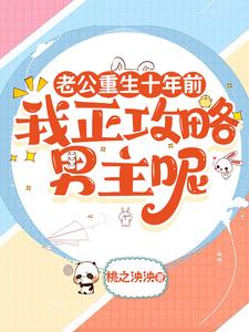 老公重生十年前，我正攻略男主呢