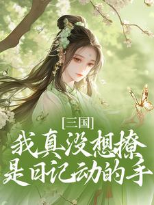 三国：我真没想撩，是日记动的手