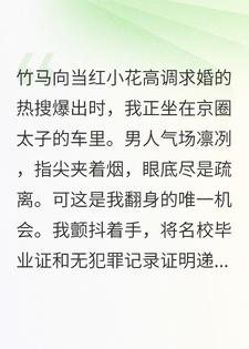 踹掉渣男后，我成了京圈太子妃