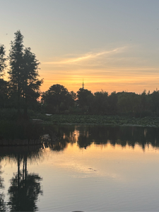 林妹妹的穿越之旅