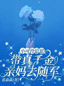 小可怜崽崽带真千金亲妈去随军